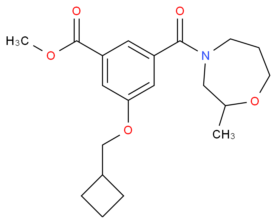 methyl 3-(cyclobutylmethoxy)-5-[(2-methyl-1,4-oxazepan-4-yl)carbonyl]benzoate_Molecular_structure_CAS_)