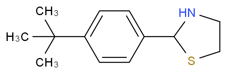 2-[4-(tert-Butyl)phenyl]-1,3-thiazolidine_Molecular_structure_CAS_)