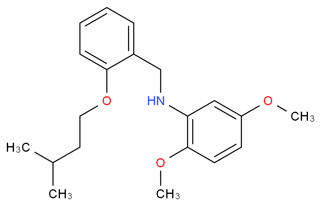 N-[2-(Isopentyloxy)benzyl]-2,5-dimethoxyaniline_Molecular_structure_CAS_)