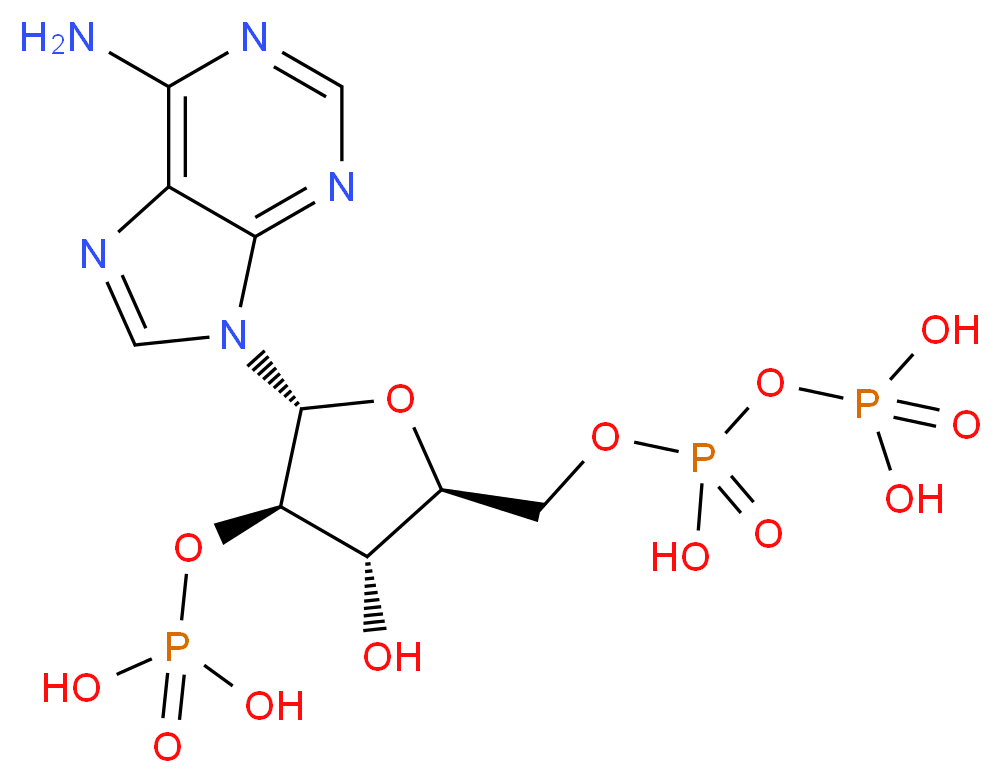 46506433 molecular structure