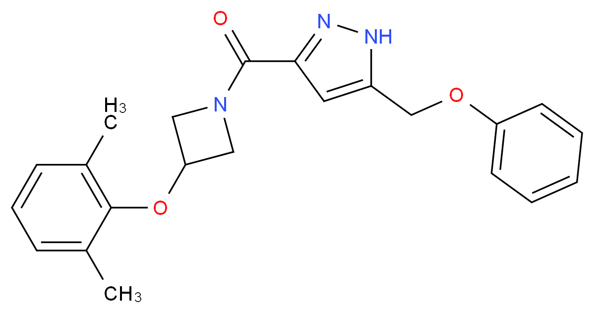 3-{[3-(2,6-dimethylphenoxy)azetidin-1-yl]carbonyl}-5-(phenoxymethyl)-1H-pyrazole_Molecular_structure_CAS_)