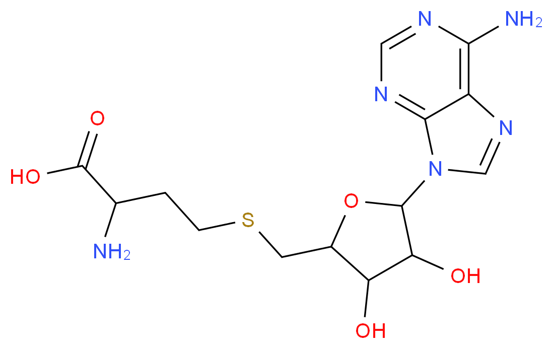 S-Adenosyl-D-homocysteine_Molecular_structure_CAS_53276-26-9)