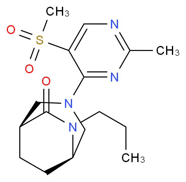 (1S*,5R*)-3-[2-methyl-5-(methylsulfonyl)pyrimidin-4-yl]-6-propyl-3,6-diazabicyclo[3.2.2]nonan-7-one_Molecular_structure_CAS_)