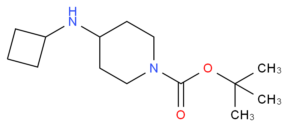 1-BOC-4-CYCLOBUTYLAMINO-PIPERIDINE_Molecular_structure_CAS_812690-41-8)
