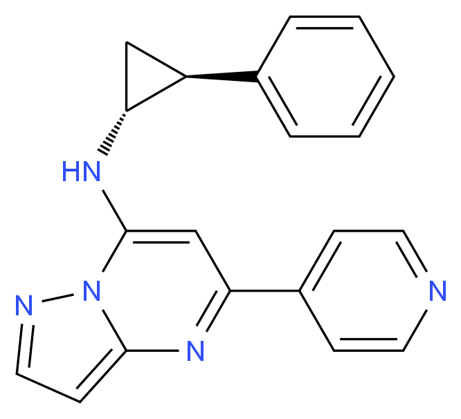 N-[(1R*,2S*)-2-phenylcyclopropyl]-5-(4-pyridinyl)pyrazolo[1,5-a]pyrimidin-7-amine_Molecular_structure_CAS_)