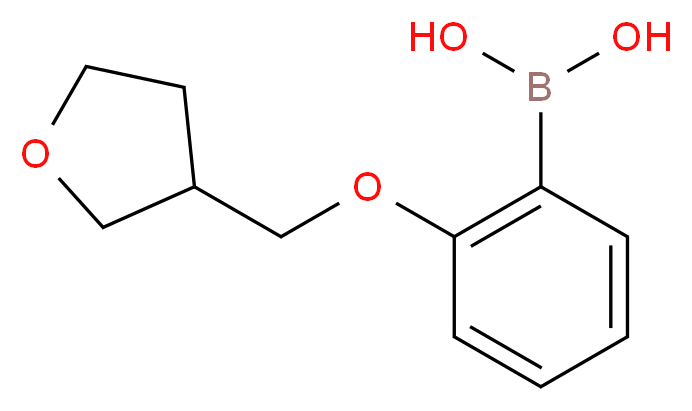 [2-(oxolan-3-ylmethoxy)phenyl]boranediol_Molecular_structure_CAS_)
