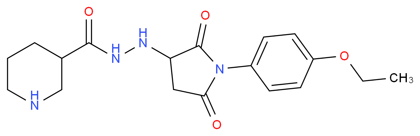 N'-[1-(4-Ethoxyphenyl)-2,5-dioxopyrrolidin-3-yl]-piperidine-3-carbohydrazide_Molecular_structure_CAS_)