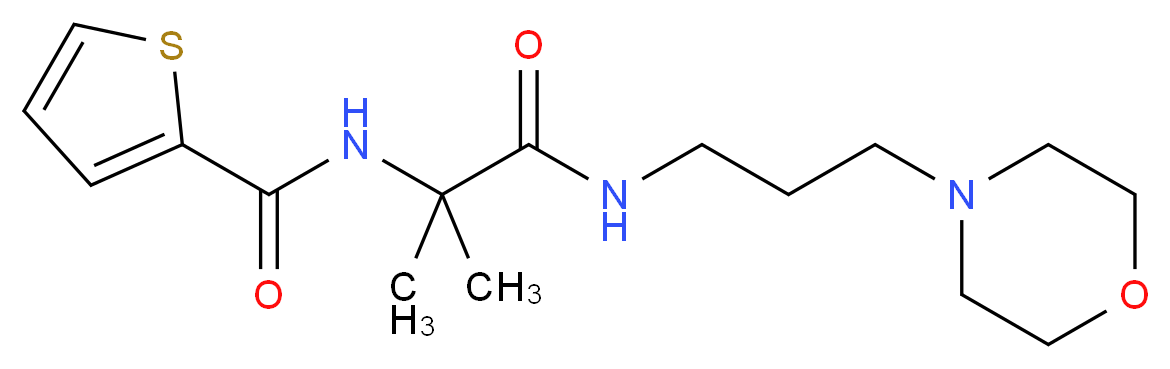 N-{1,1-dimethyl-2-[(3-morpholin-4-ylpropyl)amino]-2-oxoethyl}thiophene-2-carboxamide_Molecular_structure_CAS_)
