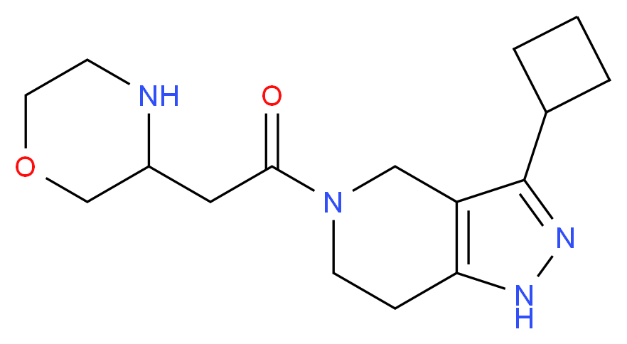 3-cyclobutyl-5-(3-morpholinylacetyl)-4,5,6,7-tetrahydro-1H-pyrazolo[4,3-c]pyridine_Molecular_structure_CAS_)