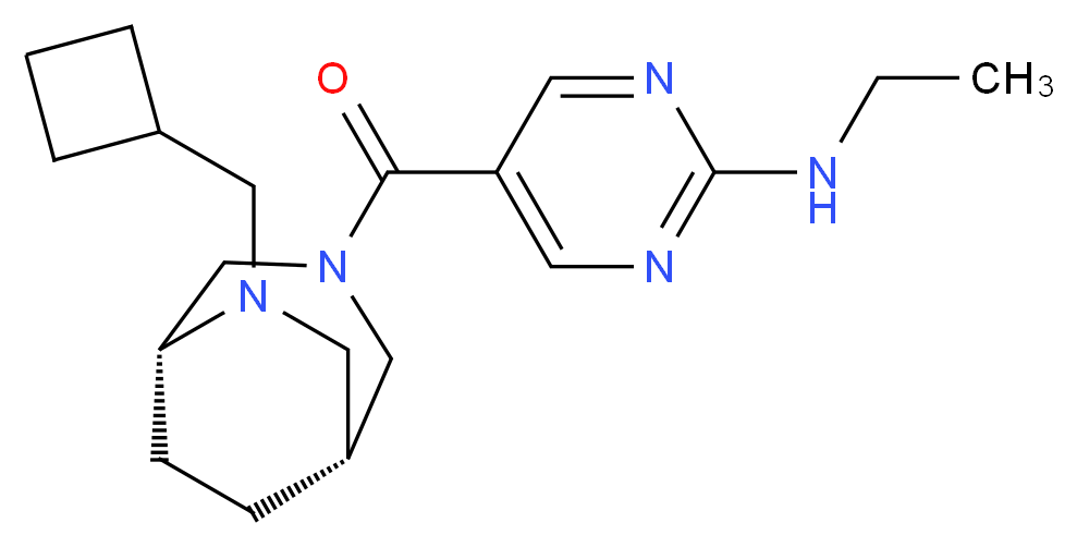 5-{[(1R*,5R*)-6-(cyclobutylmethyl)-3,6-diazabicyclo[3.2.2]non-3-yl]carbonyl}-N-ethylpyrimidin-2-amine_Molecular_structure_CAS_)