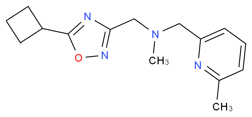 1-(5-cyclobutyl-1,2,4-oxadiazol-3-yl)-N-methyl-N-[(6-methylpyridin-2-yl)methyl]methanamine_Molecular_structure_CAS_)