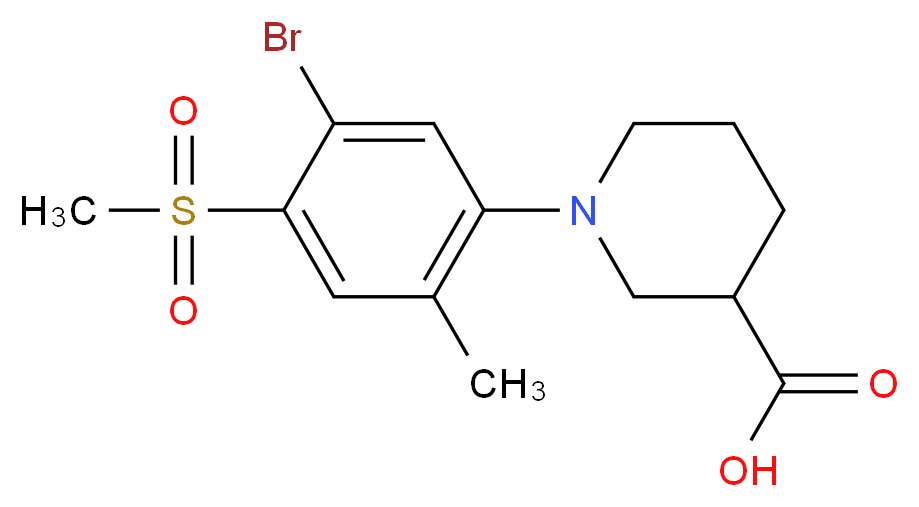 1-[5-Bromo-2-methyl-4-(methylsulphonyl)phenyl]piperidine-3-carboxylic acid_Molecular_structure_CAS_)