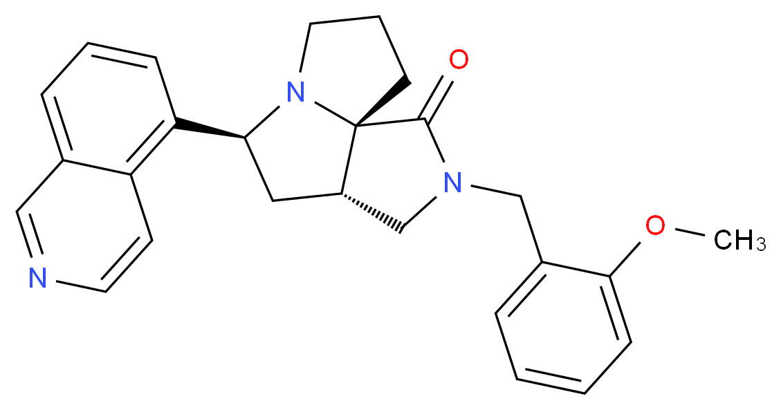 (3aS*,5S*,9aS*)-5-(5-isoquinolinyl)-2-(2-methoxybenzyl)hexahydro-7H-pyrrolo[3,4-g]pyrrolizin-1(2H)-one_Molecular_structure_CAS_)