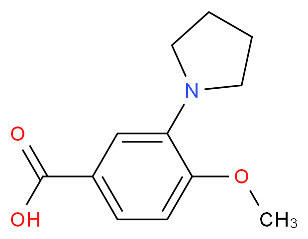 4-methoxy-3-(pyrrolidin-1-yl)benzoic acid_Molecular_structure_CAS_)