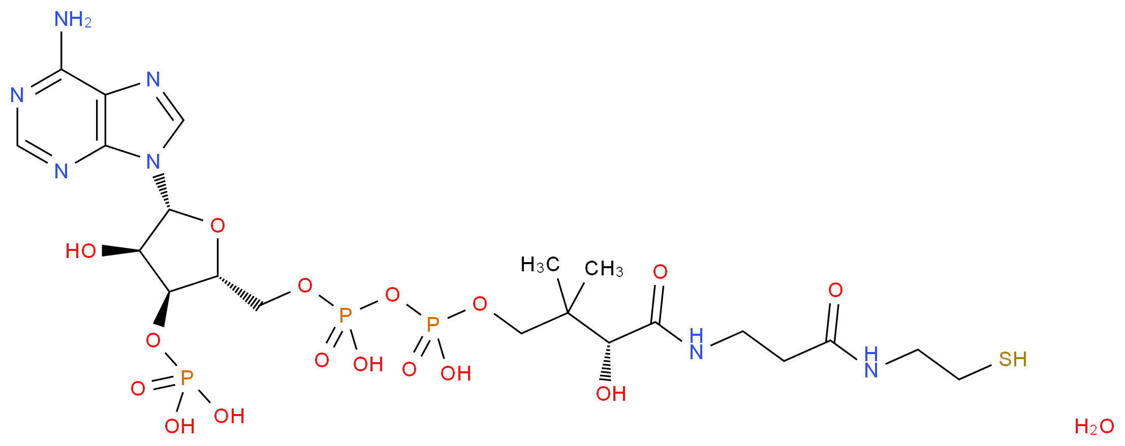Coenzyme A hydrate_Molecular_structure_CAS_85-61-0(anhydrous))