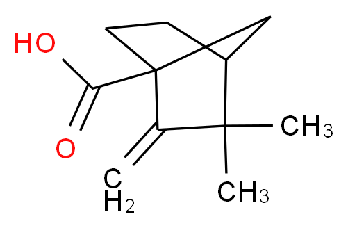 3,3-dimethyl-2-methylenebicyclo[2.2.1]heptane-1-carboxylic acid_Molecular_structure_CAS_10309-20-3)