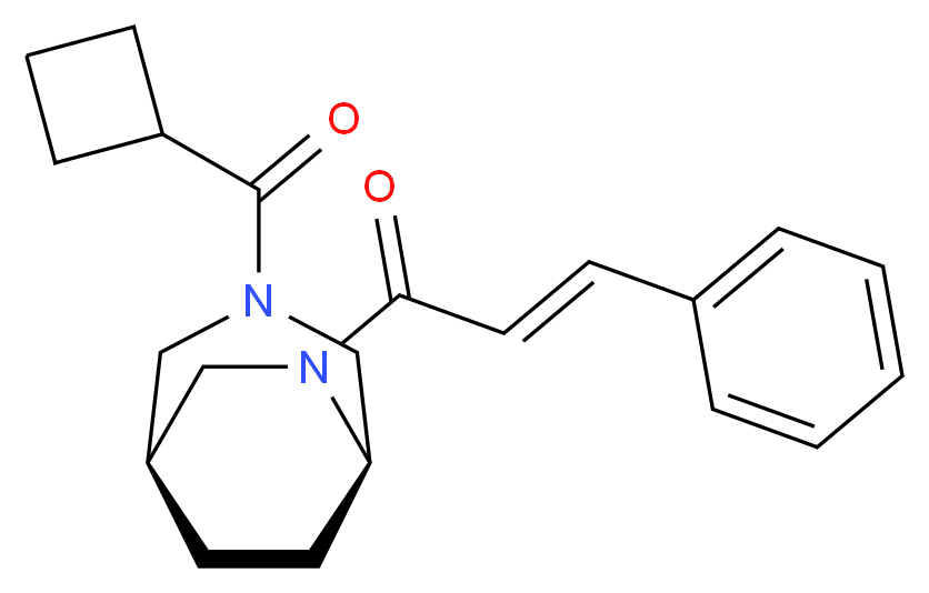 (1S*,5R*)-3-(cyclobutylcarbonyl)-6-[(2E)-3-phenylprop-2-enoyl]-3,6-diazabicyclo[3.2.2]nonane_Molecular_structure_CAS_)