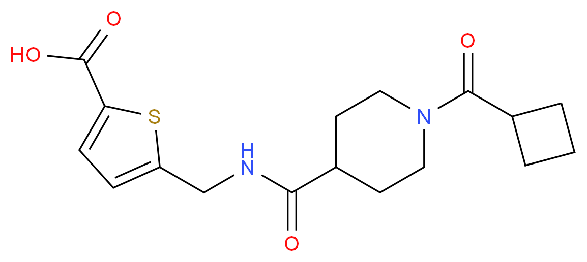 5-[({[1-(cyclobutylcarbonyl)-4-piperidinyl]carbonyl}amino)methyl]-2-thiophenecarboxylic acid_Molecular_structure_CAS_)