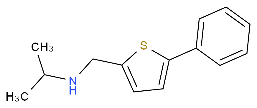 [(5-phenylthiophen-2-yl)methyl](propan-2-yl)amine_Molecular_structure_CAS_)