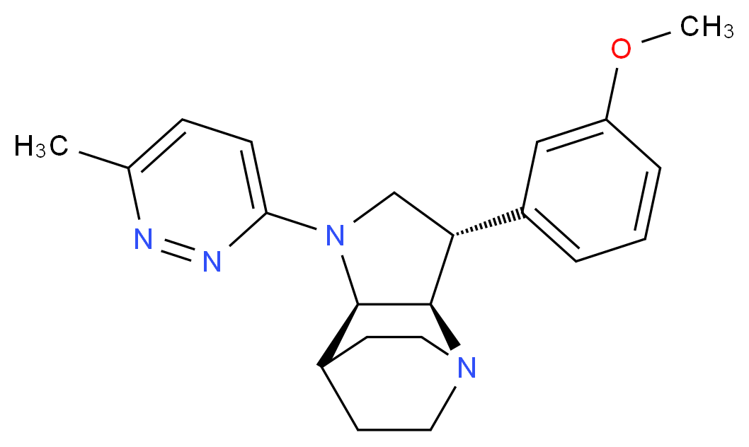 (3S*,3aR*,7aR*)-3-(3-methoxyphenyl)-1-(6-methylpyridazin-3-yl)octahydro-4,7-ethanopyrrolo[3,2-b]pyridine_Molecular_structure_CAS_)