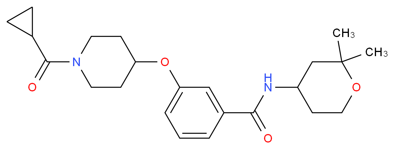 3-{[1-(cyclopropylcarbonyl)-4-piperidinyl]oxy}-N-(2,2-dimethyltetrahydro-2H-pyran-4-yl)benzamide_Molecular_structure_CAS_)