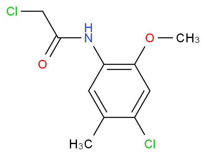 2-chloro-N-(4-chloro-2-methoxy-5-methylphenyl)acetamide_Molecular_structure_CAS_379255-21-7)