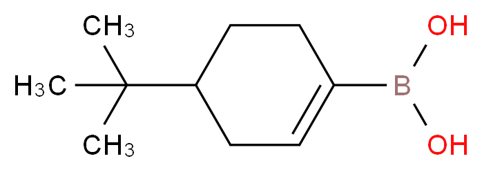 (4-(tert-Butyl)cyclohex-1-en-1-yl)boronic acid_Molecular_structure_CAS_850567-91-8)
