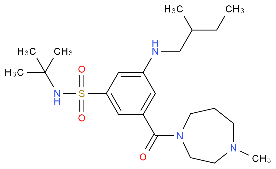N-(tert-butyl)-3-[(2-methylbutyl)amino]-5-[(4-methyl-1,4-diazepan-1-yl)carbonyl]benzenesulfonamide_Molecular_structure_CAS_)