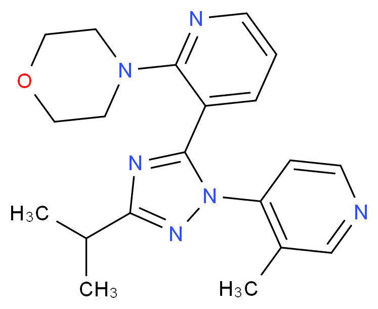 4-{3-[3-isopropyl-1-(3-methylpyridin-4-yl)-1H-1,2,4-triazol-5-yl]pyridin-2-yl}morpholine_Molecular_structure_CAS_)