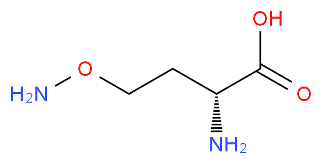 CAS_496-93-5 molecular structure