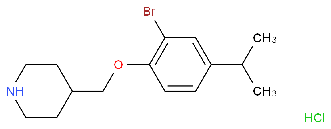 MFCD13560796 molecular structure