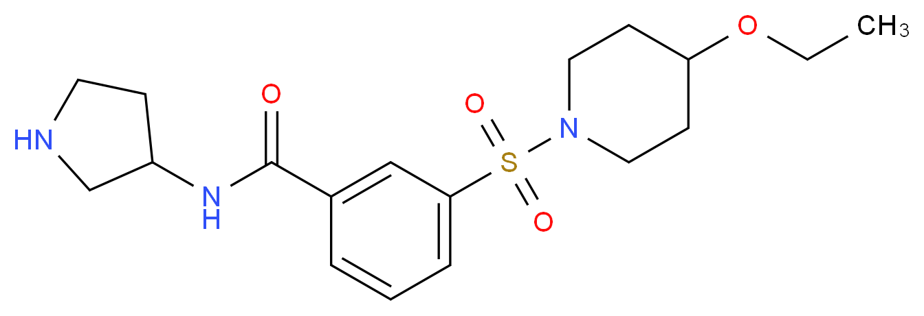 3-[(4-ethoxypiperidin-1-yl)sulfonyl]-N-pyrrolidin-3-ylbenzamide_Molecular_structure_CAS_)