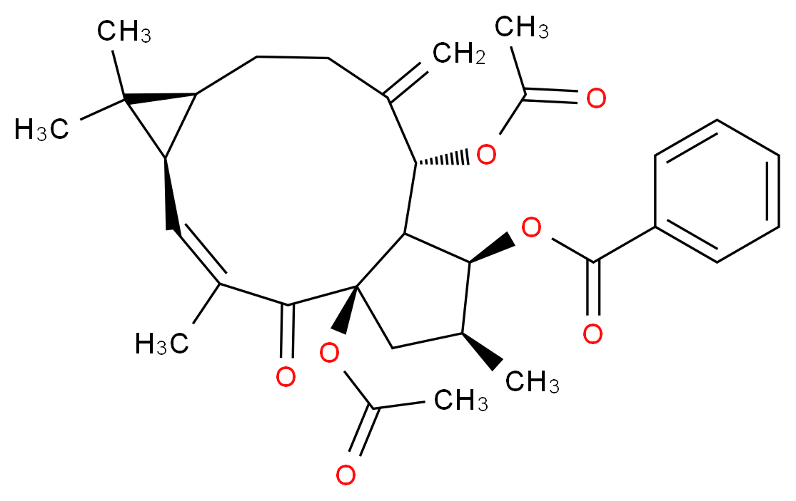 218916-52-0 molecular structure