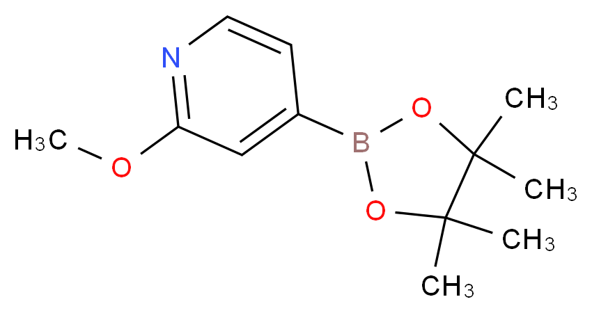 2-Methoxypyridine-4-boronic acid pinacol ester_Molecular_structure_CAS_408502-23-8)