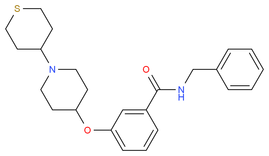 N-benzyl-3-{[1-(tetrahydro-2H-thiopyran-4-yl)-4-piperidinyl]oxy}benzamide_Molecular_structure_CAS_)
