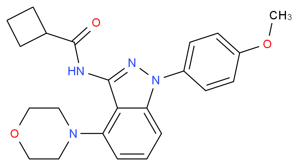 N-[1-(4-methoxyphenyl)-4-morpholin-4-yl-1H-indazol-3-yl]cyclobutanecarboxamide_Molecular_structure_CAS_)