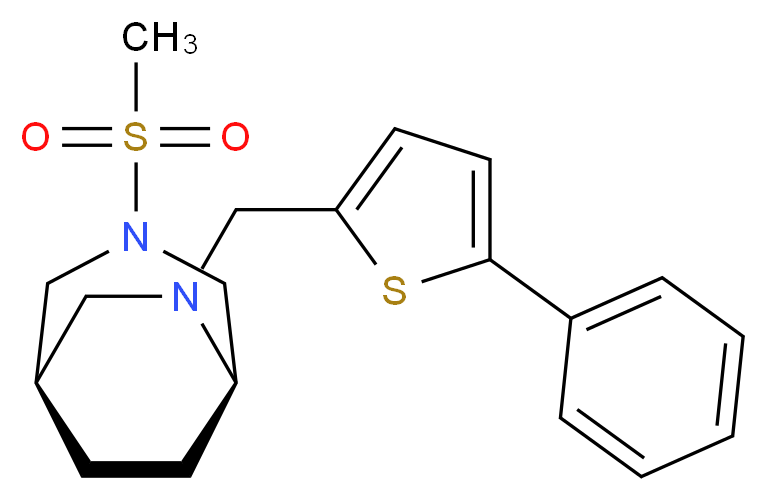 (1R*,5R*)-3-(methylsulfonyl)-6-[(5-phenyl-2-thienyl)methyl]-3,6-diazabicyclo[3.2.2]nonane_Molecular_structure_CAS_)