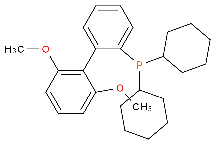 2-Dicyclohexylphosphino-2′,6′-dimethoxybiphenyl_Molecular_structure_CAS_657408-07-6)