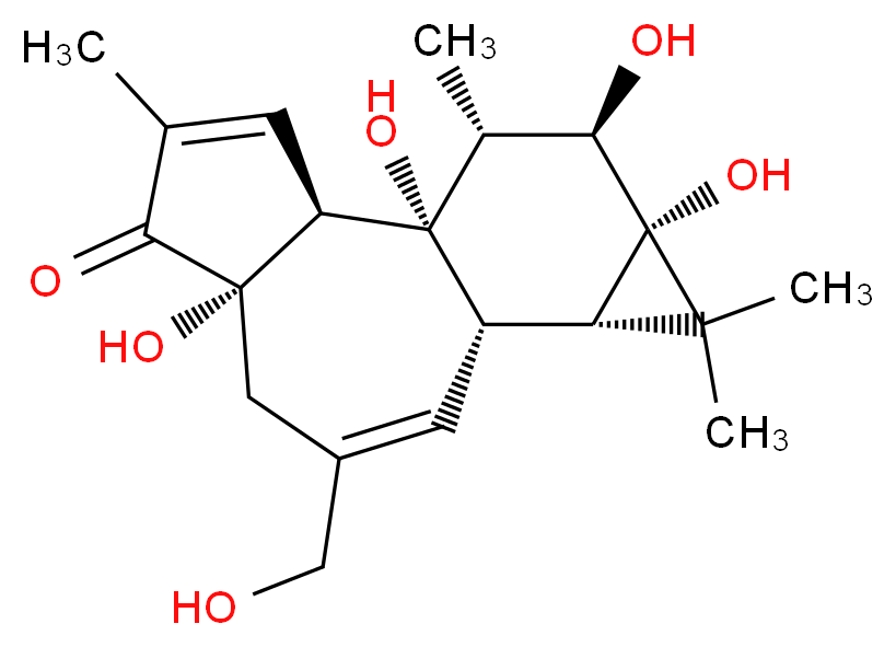 4α-Phorbol_Molecular_structure_CAS_26241-63-4)