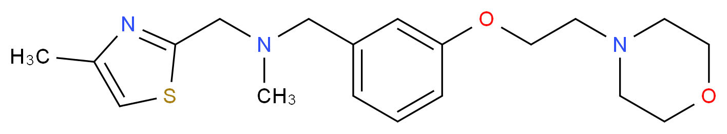 N-methyl-1-(4-methyl-1,3-thiazol-2-yl)-N-[3-(2-morpholin-4-ylethoxy)benzyl]methanamine_Molecular_structure_CAS_)