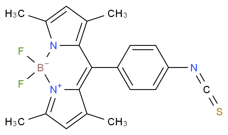 Bodipy Isothiocyanate_Molecular_structure_CAS_1349031-04-4)
