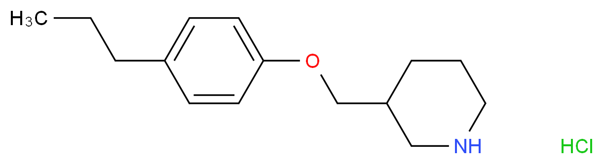 3-[(4-Propylphenoxy)methyl]piperidine hydrochloride_Molecular_structure_CAS_)