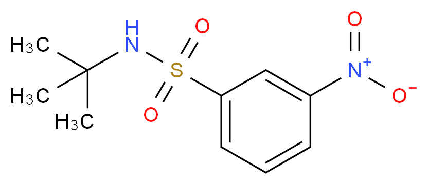 N-tert-Butyl-3-nitrobenzenesulfonamide_Molecular_structure_CAS_424818-25-7)