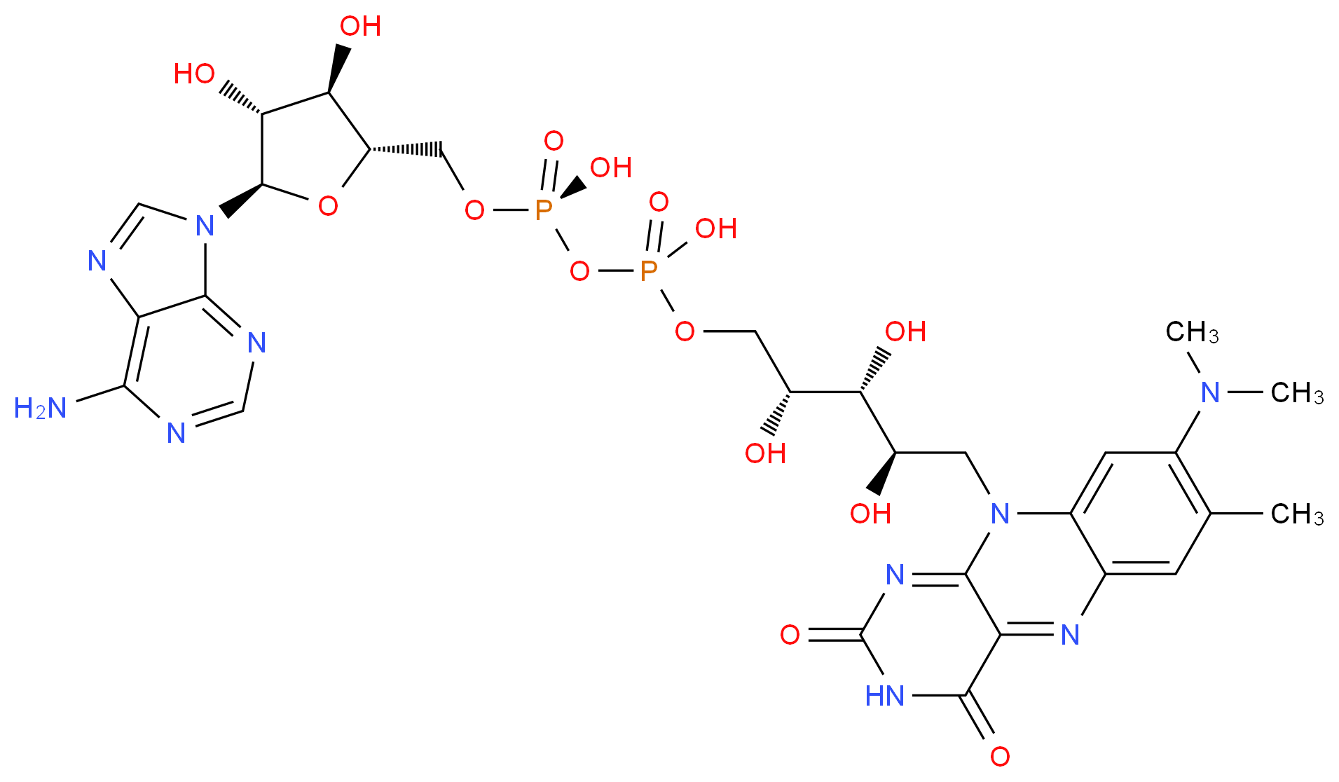 8-Demethyl-8-Dimethylamino-Flavin-Adenine-Dinucleotide_Molecular_structure_CAS_)