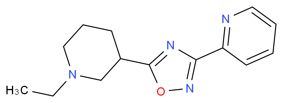 2-[5-(1-ethyl-3-piperidinyl)-1,2,4-oxadiazol-3-yl]pyridine_Molecular_structure_CAS_)