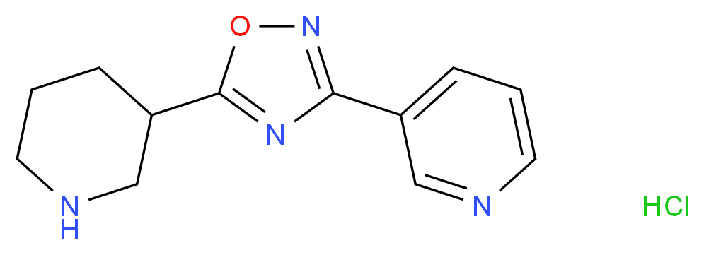 3-(5-Piperidin-3-yl-1,2,4-oxadiazol-3-yl)pyridine hydrochloride_Molecular_structure_CAS_)