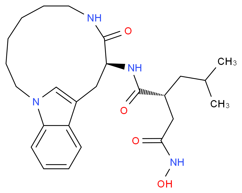 N4-HYDROXY-2-ISOBUTYL-N1-(9-OXO-1,8-DIAZA-TRICYCLO[10.6.1.013,18]NONADECA-12(19),13,15,17-TETRAEN-10-YL)-SUCCINAMIDE_Molecular_structure_CAS_)