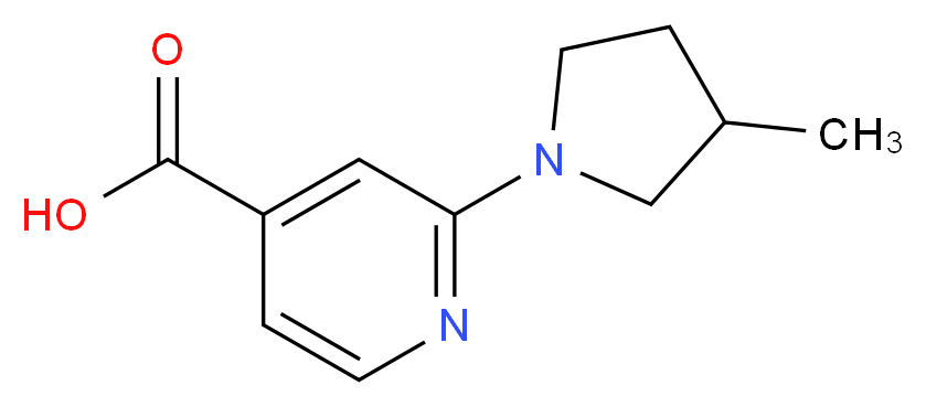 2-(3-methylpyrrolidin-1-yl)pyridine-4-carboxylic acid_Molecular_structure_CAS_)