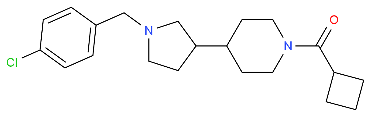 4-[1-(4-chlorobenzyl)-3-pyrrolidinyl]-1-(cyclobutylcarbonyl)piperidine_Molecular_structure_CAS_)