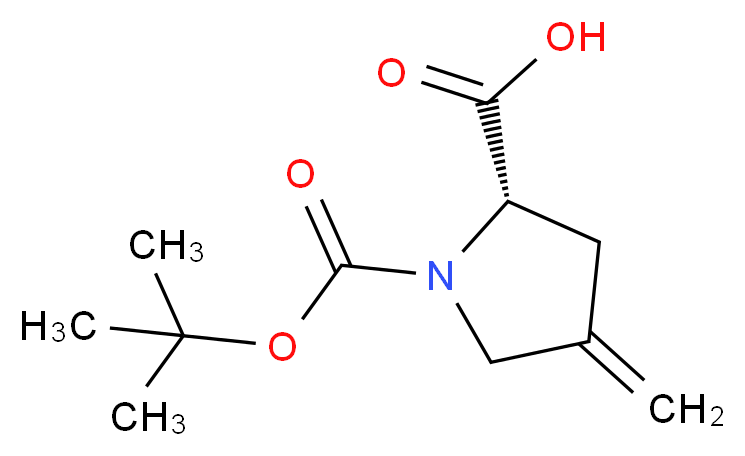 1-Boc-(S)-4-Methylenepyrrolidine-2-carboxylic acid_Molecular_structure_CAS_84348-38-9)